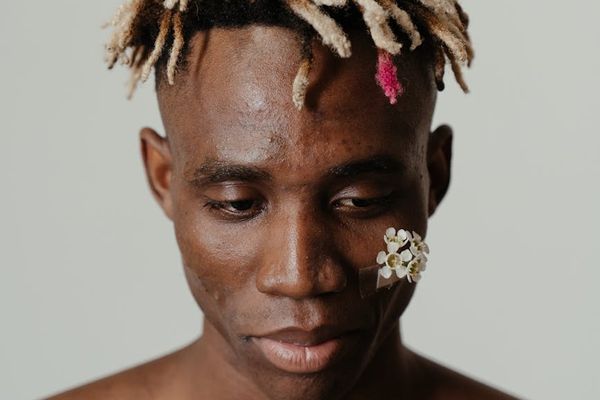 A visual representation of steady progress, like a growing plant.